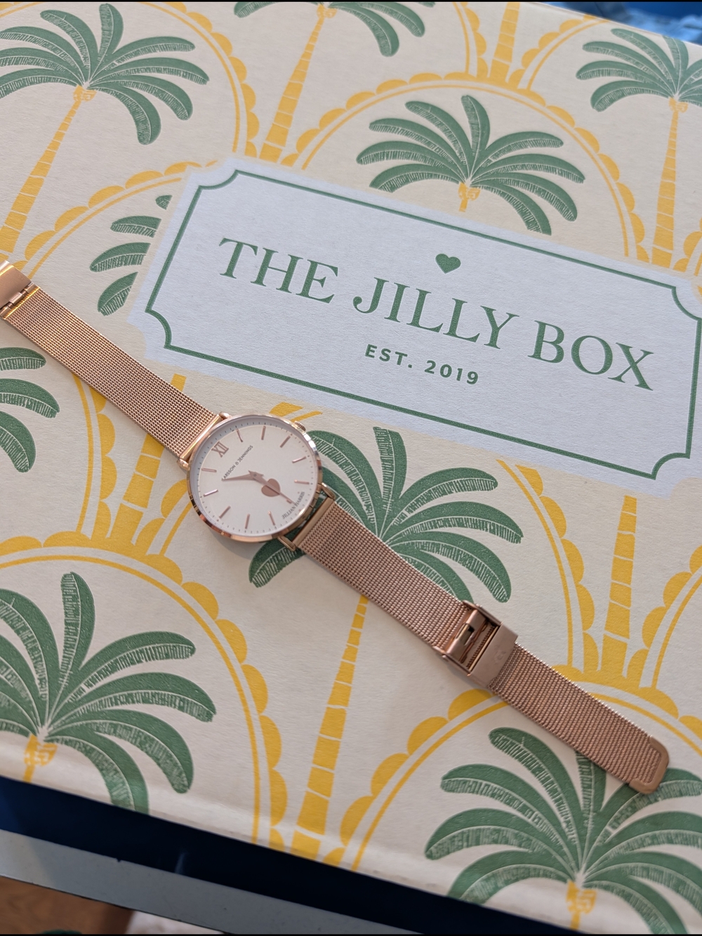 Rose Gold Mesh Bracelet Watch - The Jilly Box